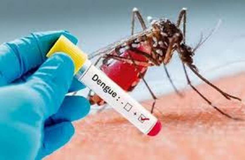 Dengue 6168709 835x547 m