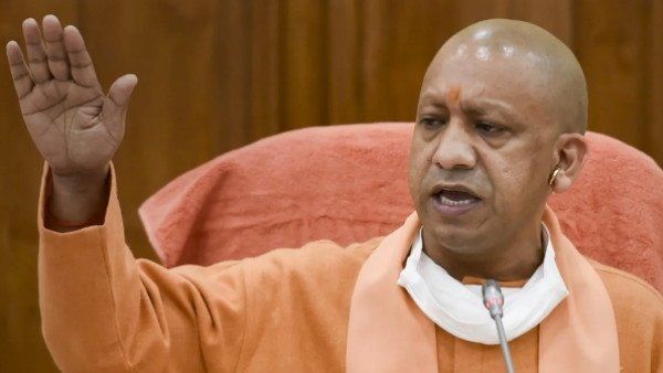 Yogi