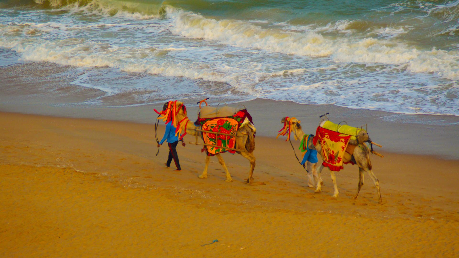 5ec225d530009 Puri Beach Festival Attractions 5
