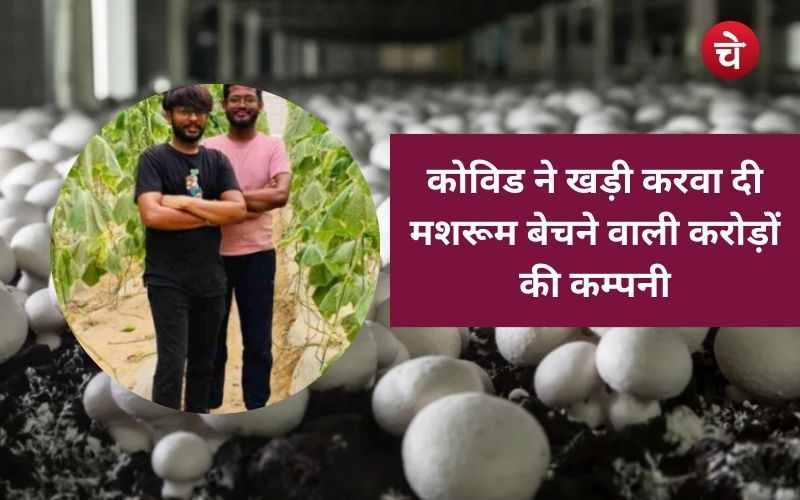 A3R Mushroom Farms Success Story