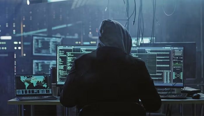 Dark Web Data Leak