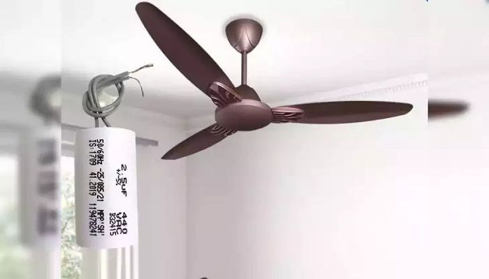 Fan