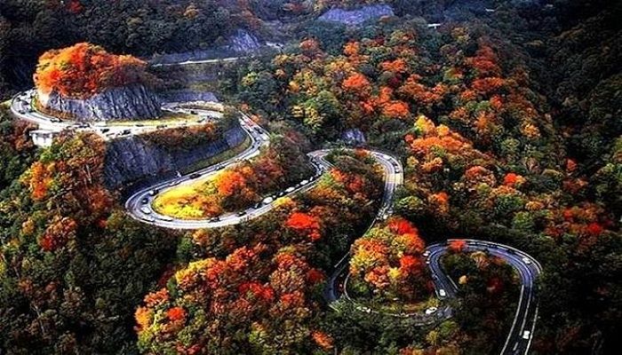Road