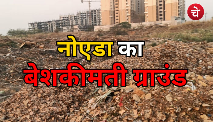 मसाला उद्योग पर मंडरा 1