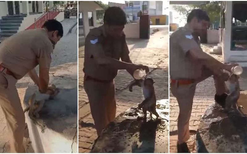 UP police