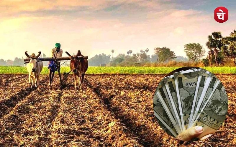 Farmer