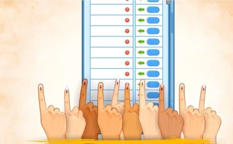 Poll e1717228048403