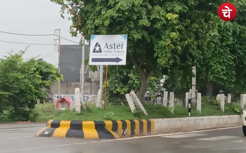 Aster Public School