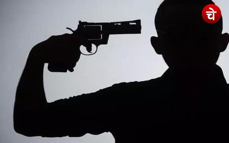 Gun
