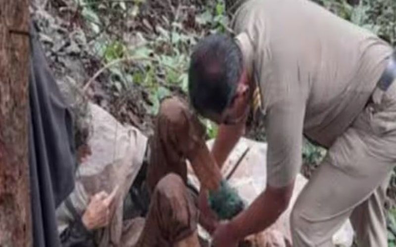 घने जंगल में जंजीरों से बंधी मिली अमेरिकी महिला, पुलिस हैरत में