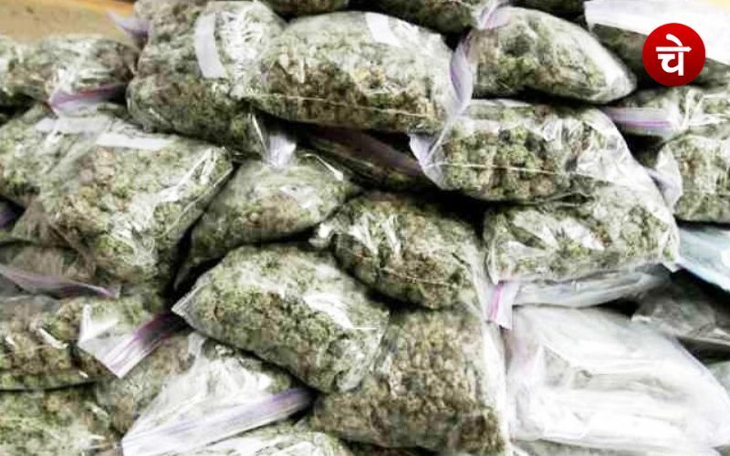 Ganja