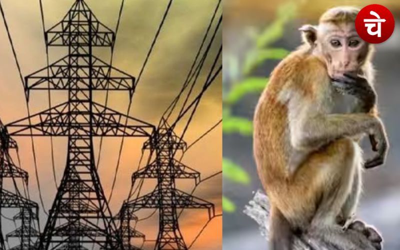 Bijli 1