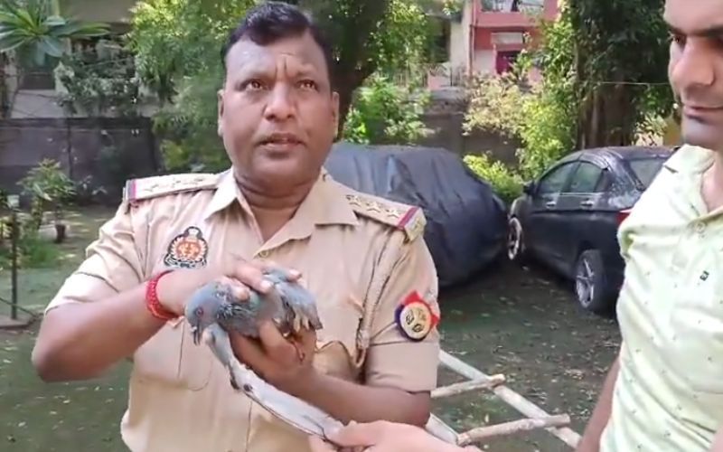 Noida Police