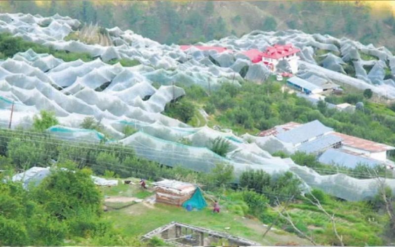 Richest Village