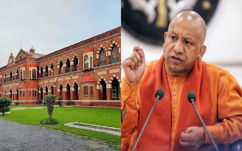 Cm Yogi 3