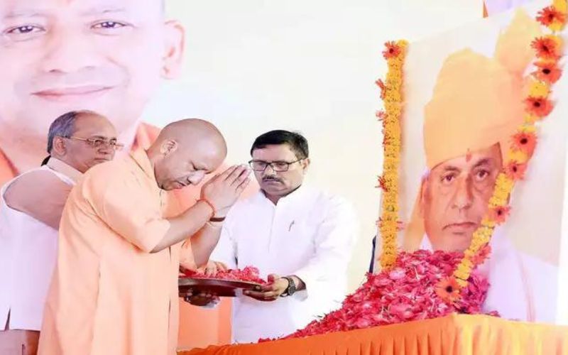 Cm yogi 2 1