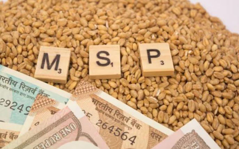 MSP
