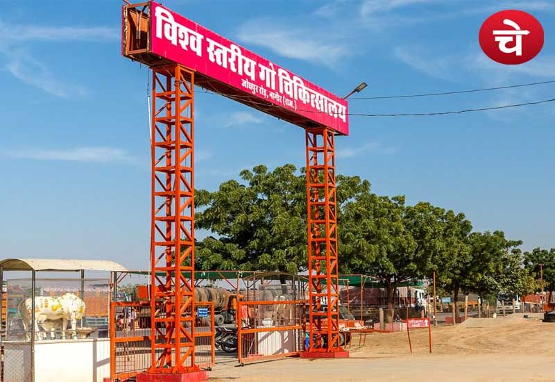 गोपाष्टमी पर विश्व स्तरीय गो चिकित्सालय की चर्चा जरूरी