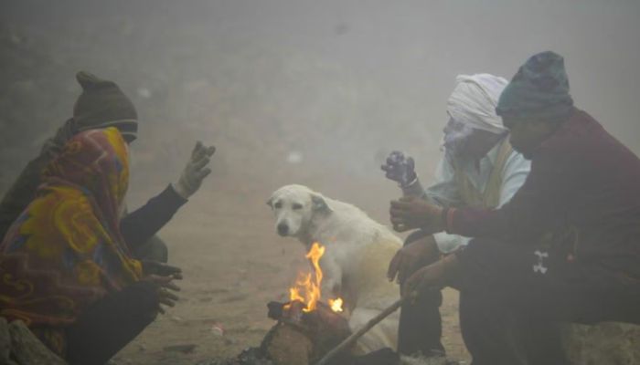 बर्फीली हवाओं से कांपा उत्तर प्रदेश, राजधानी समेत कई जिलों में कोहरे का येलो अलर्ट
