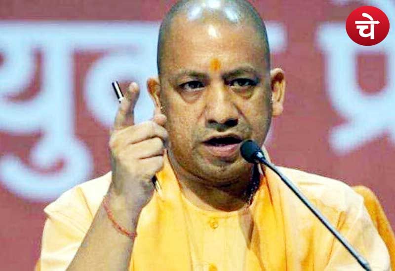 Yogi 3