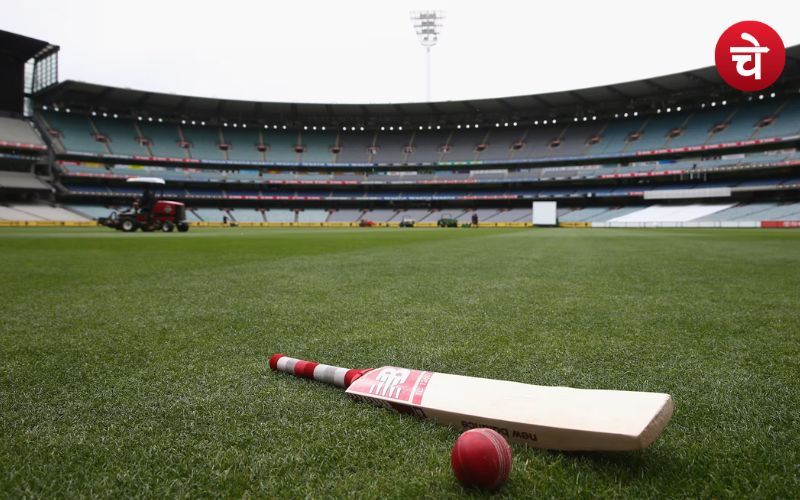 Cricket 11