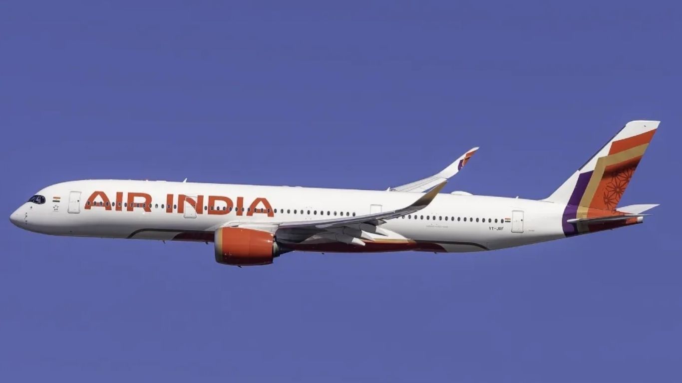 Air India विमान से टकराया पक्षी, लैंडिंग के बाद सामने आया मामला