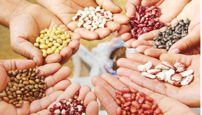 Seeds