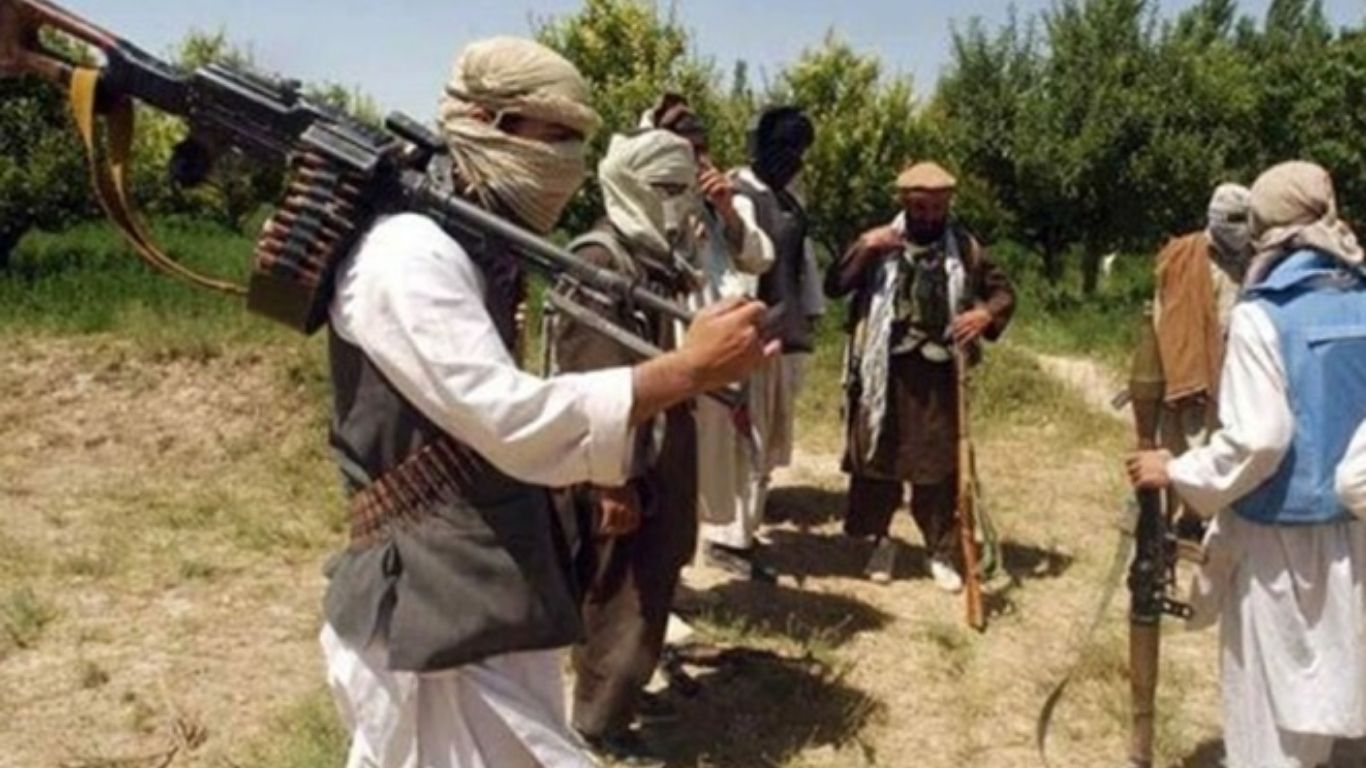 Pakistan News 8
