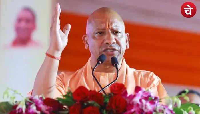 cm yogi (10)