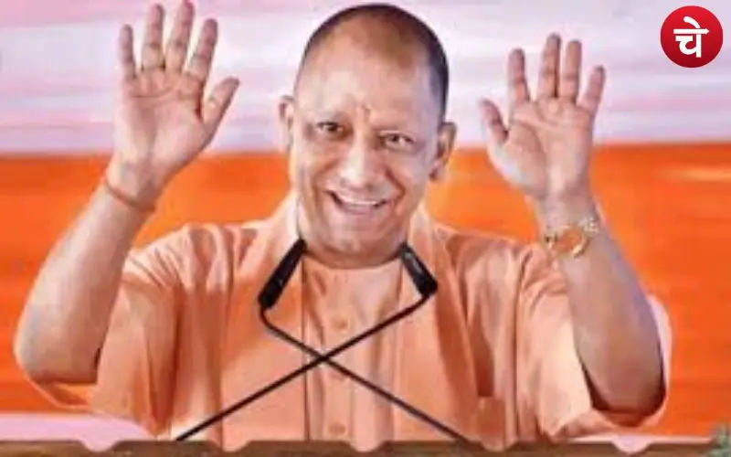 yogi (6)