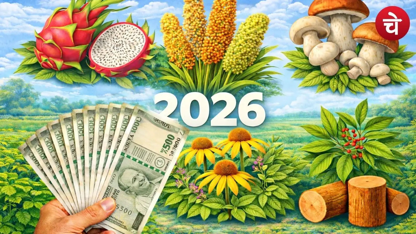 Farming in 2026
