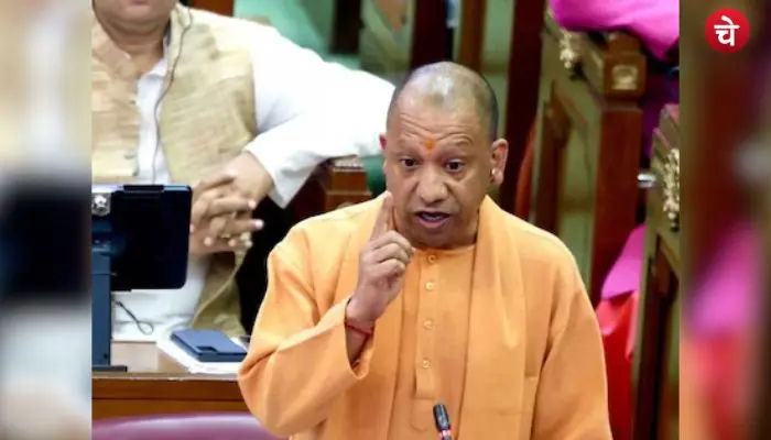 cm yogi 1 (1)