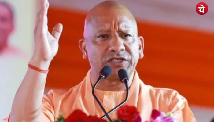 cm yogi 1 (2)