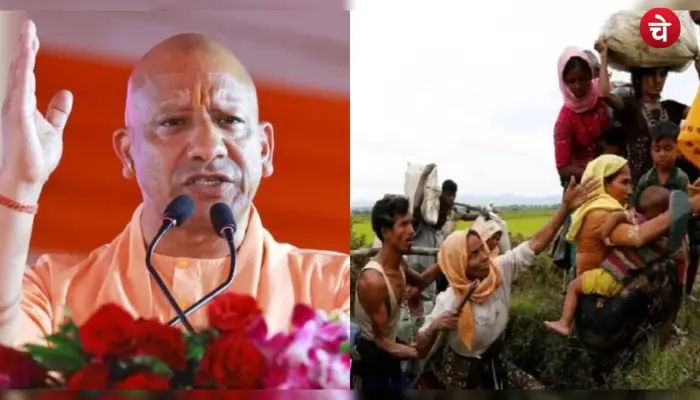 cm yogi (16)
