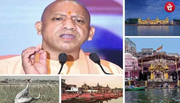 yogi ji (5)