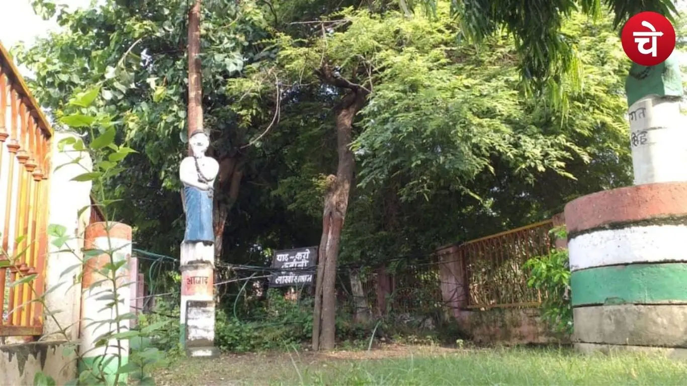 कई वीर सपूतों की अंतिम मंजिल रहा प्रयागराज का मशहूर ‘फांसी इमली’ पेड़
