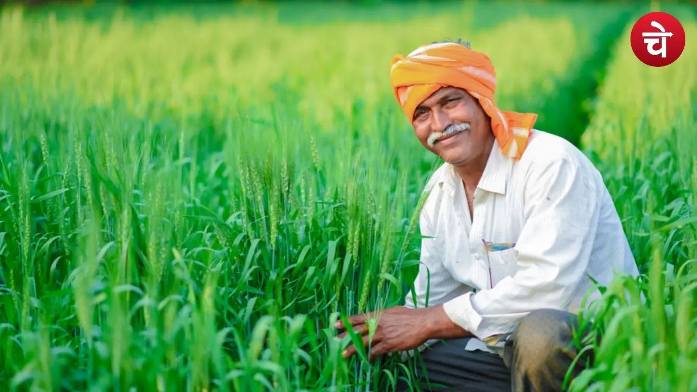 नोएडा और ग्रेटर नोएडा के किसानों को मिल सकता है मुआवजे का बड़ा पैकेज