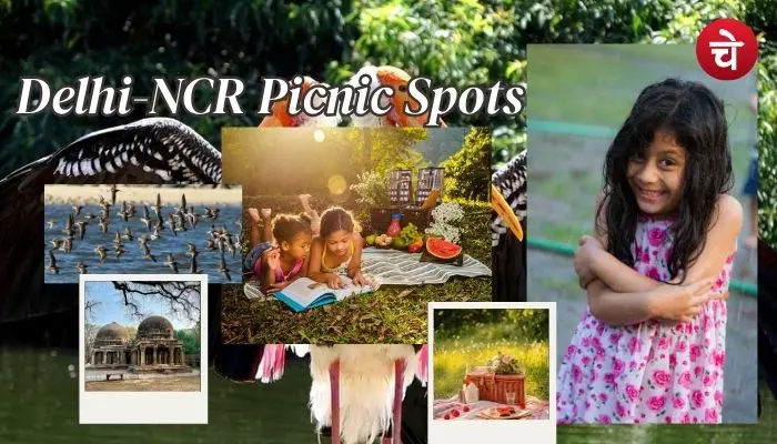 बच्चों के साथ करना चाहते हैं टाइम स्पेंड? मिस न करें Delhi‑NCR के ये पिकनिक स्पॉट्स