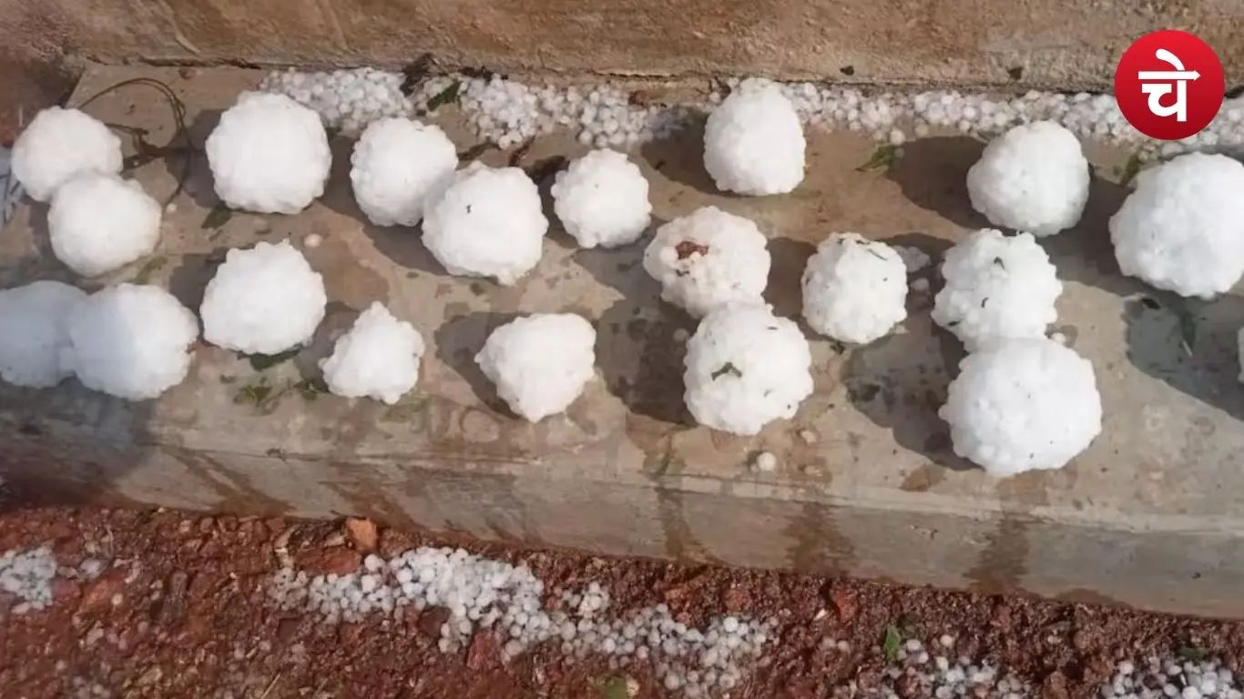 15 मिनट की ओलावृष्टि ने किसानों की सालभर की मेहनत पर पानी फेरा