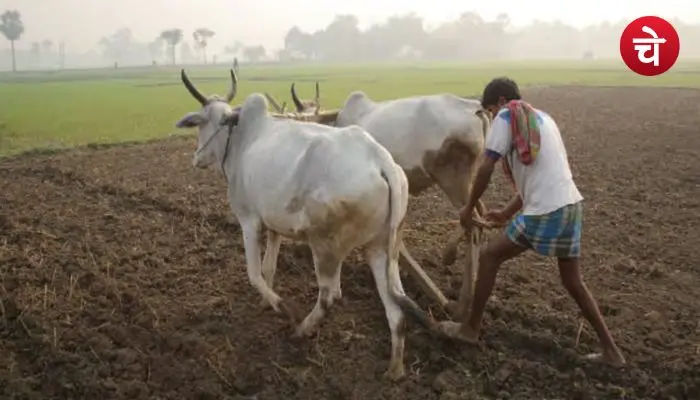 जम्मू-कश्मीर मुहाफ़िज़ योजना: कैसे करें आवेदन? एक क्लिक में पढ़ें पूरी जानकारी