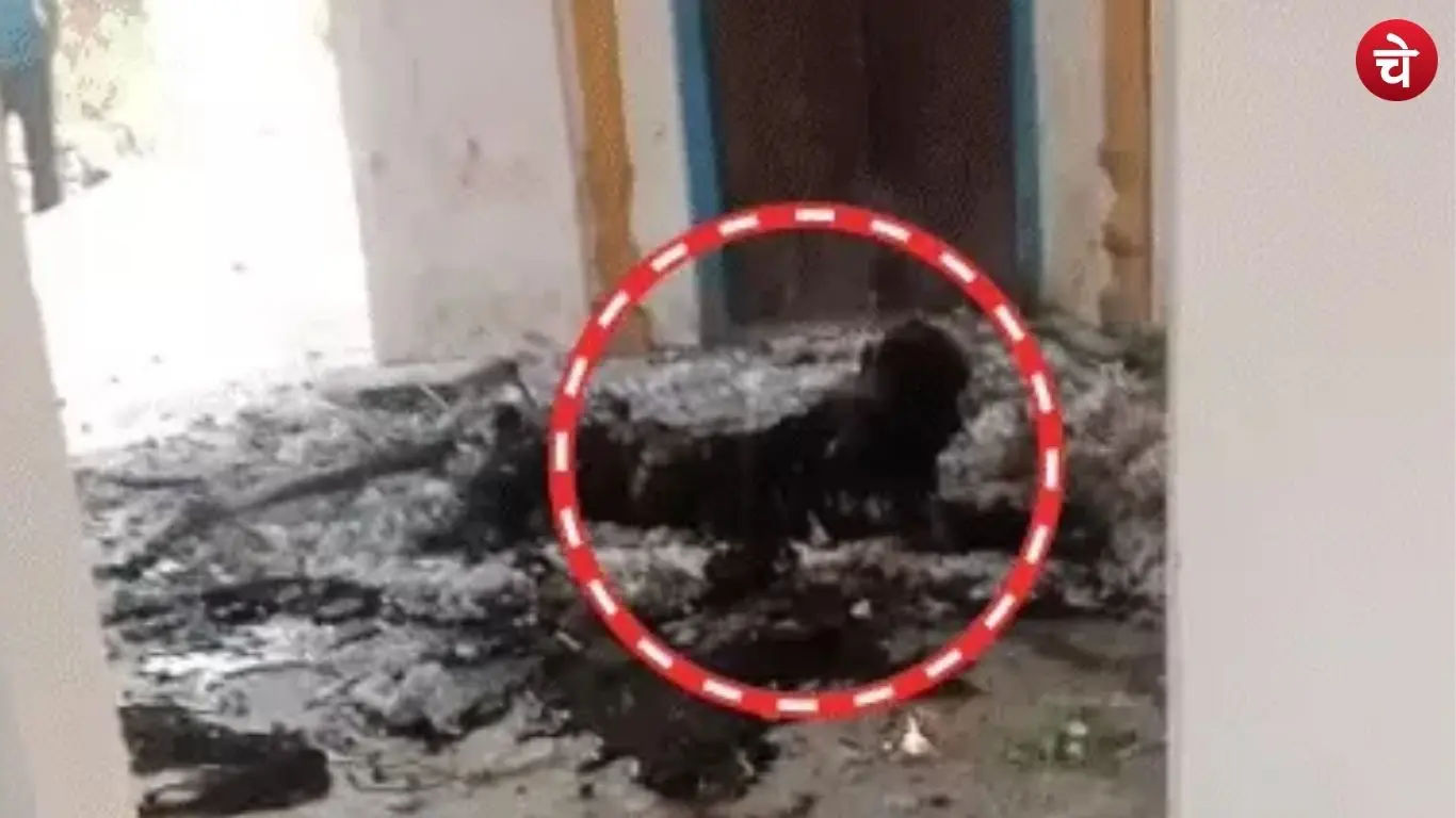 Sensation in Shahjahanpur following the murder of two sadhus at a Shiva temple
