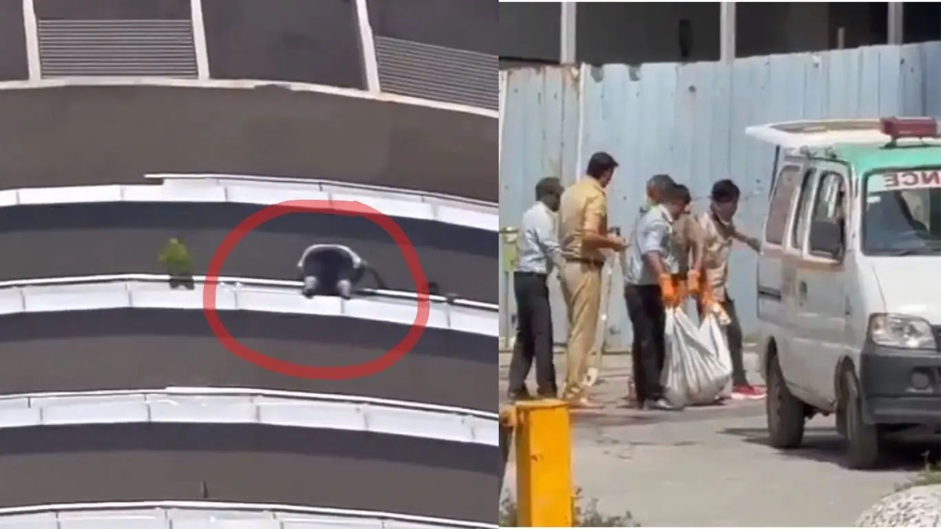 Young man jumping from the Supernova building in Noida