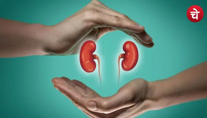 Kidney Health