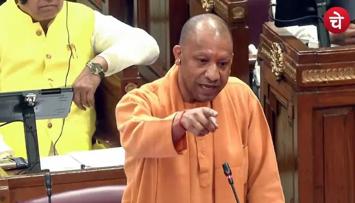 cm yogi (32)
