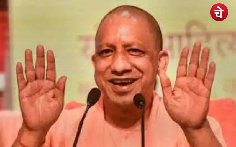cm yogi (5)
