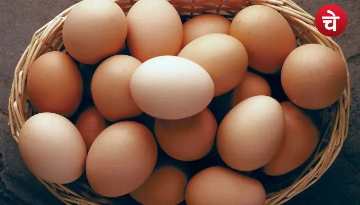 egg expiry date