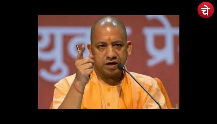 yogi (24)