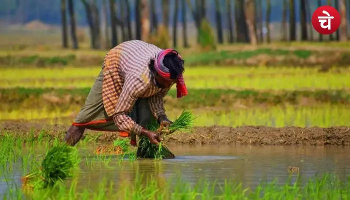 पीएम किसान
