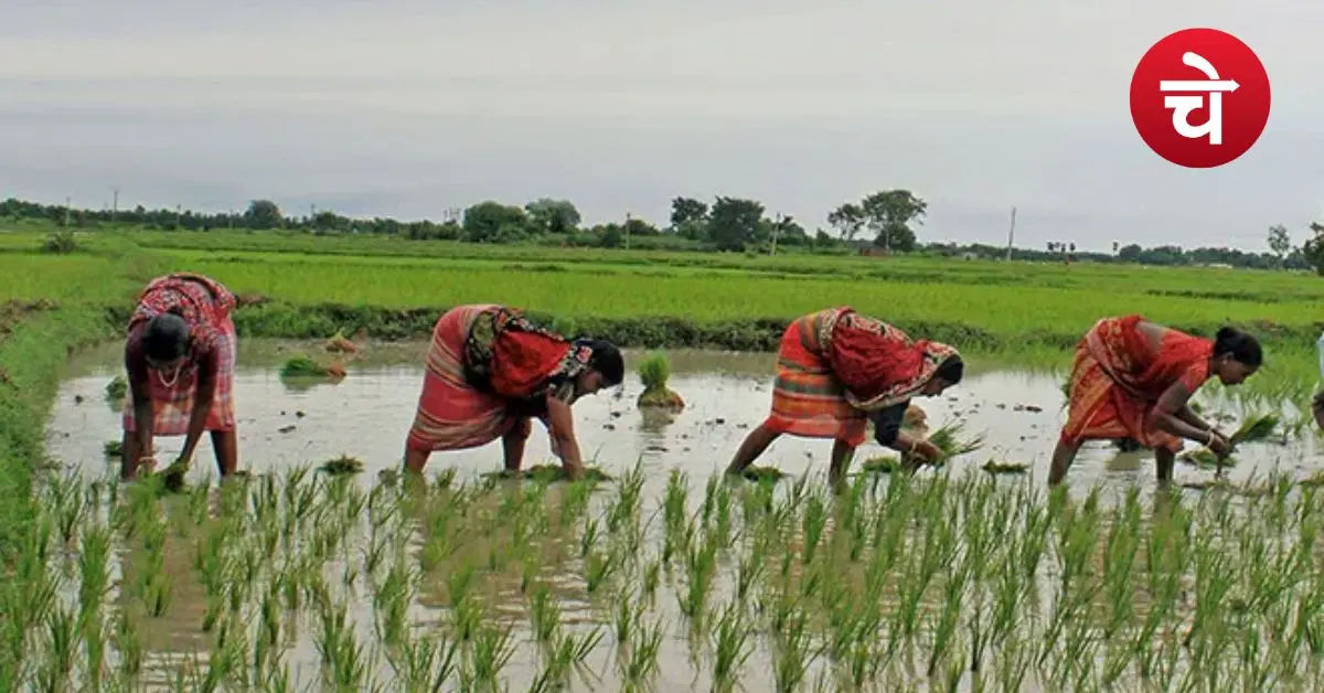 CM Kisan Kalyan Yojana