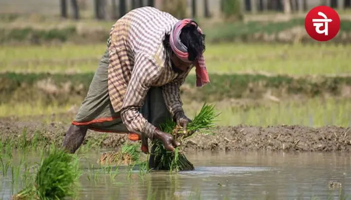 PM Aasha Yojana